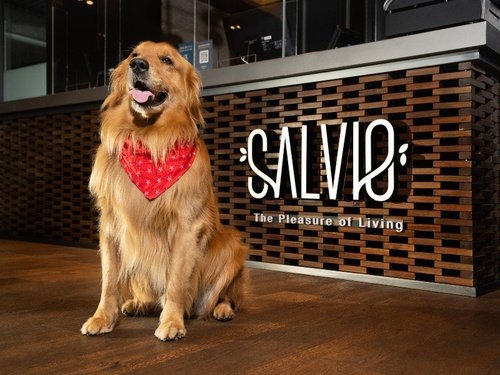 Pet friendly  Salvio 93 Bogotá, Curio Collection by Hilton